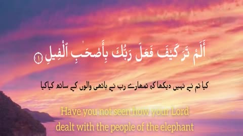 surah al fil | quran ki tilawat | quran recitation | copyright free |quran tilawat |ISLAMIC HISTORY