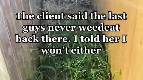 The client said the last guys never weedeat