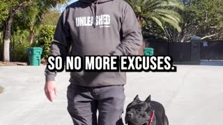 NO MORE EXCUSES, Get Your Dog Trained!