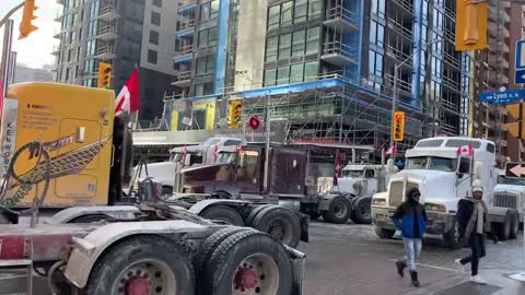 Freedom Convoy - Wellington to Queen on Kent, turned right on Queen and back, then to Slater Jan 31