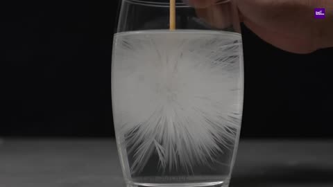 Amazing Science Experiments