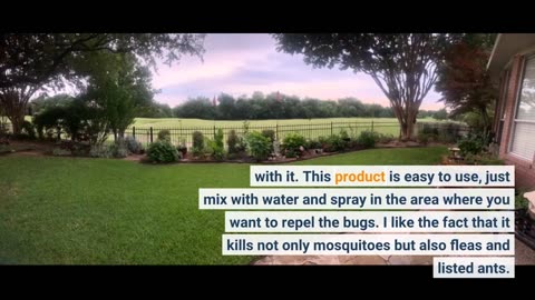 Cutter Backyard Bug Control Spray Concentrate, Mosquito Repellent, Kills Mosquitoes