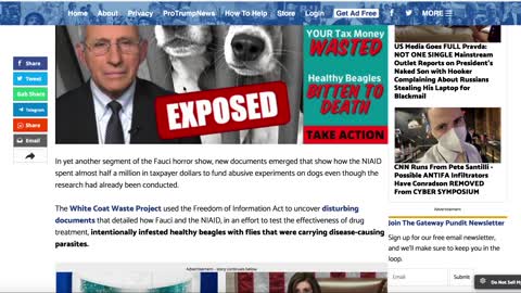 Fauci 400K Deadly Experiment on Dogs