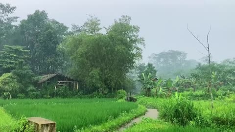 Heavy Rain in a friendly village