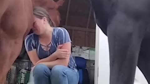 A horse cuddling its owner? Majestic sight