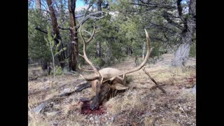 Micah's 2022 Elk Hunt