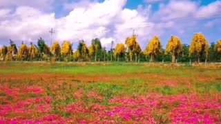 Snowcapped, red flowers are colourful, the clouds are white, the sky is very blue