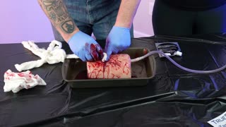 Stop the Bleed Training Tool | Emergency Medical Care Tips