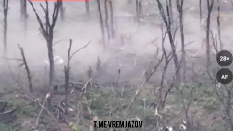 Paratroopers of the 106th Airborne Storm a Ukrainian Stronghold Near Razdolovka