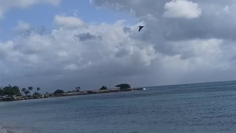 ARUBA