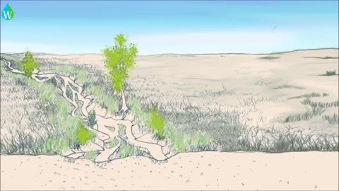 Ancient practices to increase water storage in desert aquifers _ Waterpedia #WaterWednesday.mp4