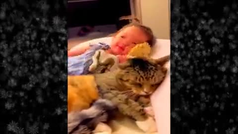 New Funny Videos 2024 😍 Funniest Cats & Dogs Videos🐶😹