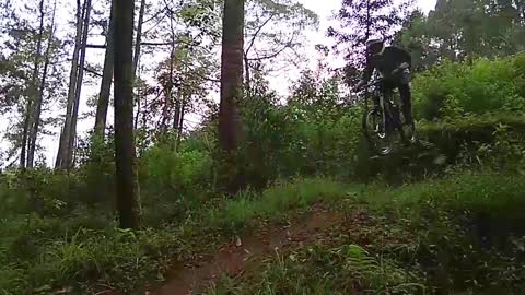 Awesome Freerider Mountain Biker Jump