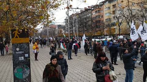 Митинг за запазване на българския лев, видео 5