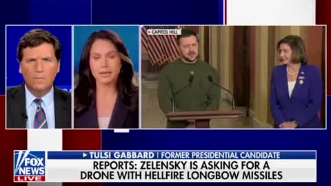 Tulsi Gabbard and Tucker Carlson discuss Zelensky