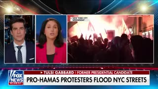 Tulsi Gabbard_ Biden is 'terrified' of this