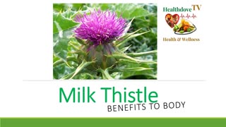 Milk Thistle