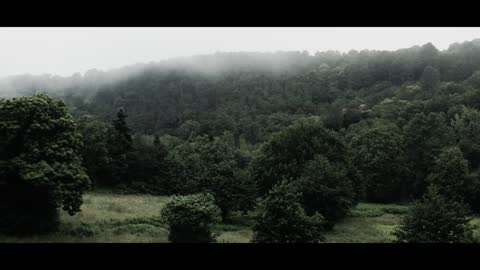 The Misty Forest _ Cinematic Drone Footage