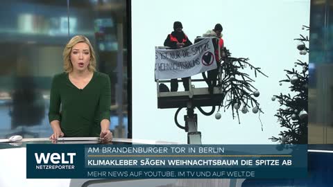 LETZTE GENERATION: Klimaaktivisten köpfen den Berliner Weihnachtsbaum