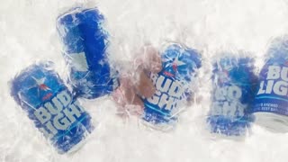 Bud Light Ad I