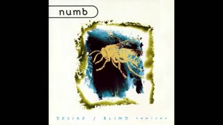 NUMB - Desire/Blind Remixes