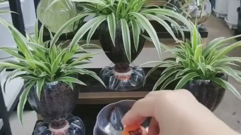 Gardening creativity hacks