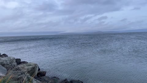 Wind-ruffled waters of Puget Sound