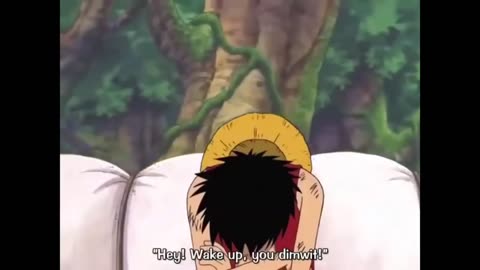 Just Luffy