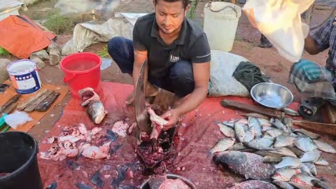 Amazing Katala Fish Cutting Skills