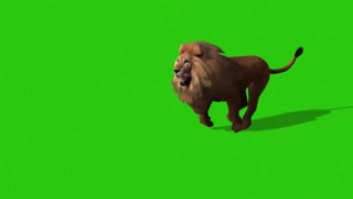 Lion King green screen effect