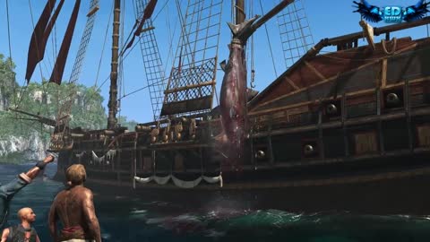 Assassin's Creed 4 All Harpooning Activities & The White Whale ( Moby Dick )