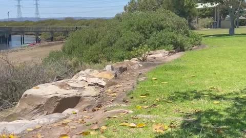 A beautiful Boat Ramp in port Adelaide Australia