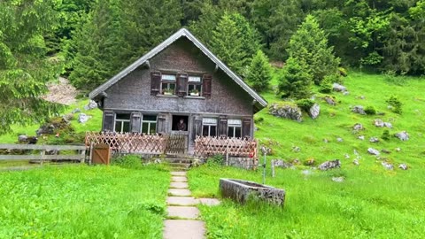 Life in a Swiss Alpine village | Heavy rain fell while cows were grazing outside the farm..