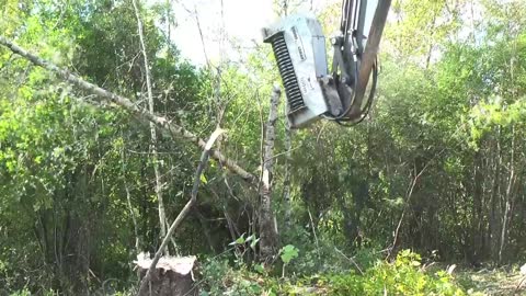 Excavator mulchers - Land clearing equipment - Forestry mulcher -