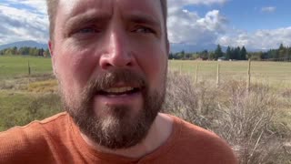 Homesteading is suffering, Owen Benjamin 🐻 Tuesday October 3, 2023