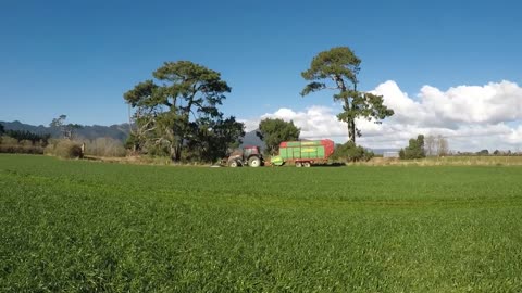 Goat Farming in New Zealand - PinnacleAg NZ