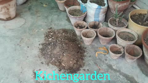 Kitchen Gardening famous garden growing zone greatly 😀