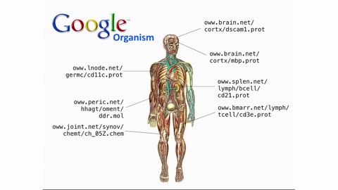 Google-X Ido Bachelet talks Surgical Nanorobotics 2014 - DNA ROBOTS