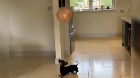 Good play with balloon