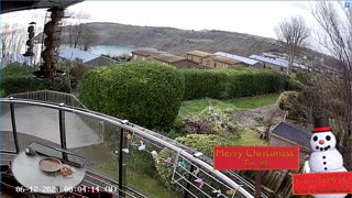 Saint Mary's cove Brixham and bird feeder