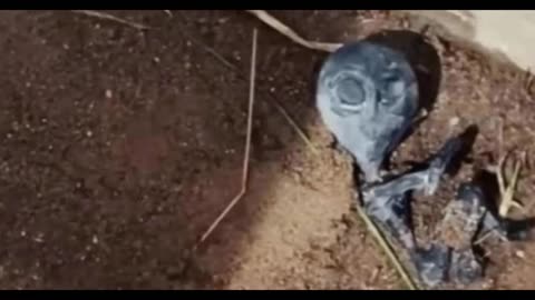 Dead ‘Alien’ Found In Bolivian Town After Mysterious Green Strobe Light