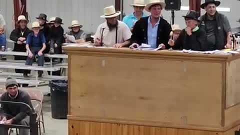 11 yr old auctioneers at Middlefield Ohio standardbred driving horse sale. May 28 2022