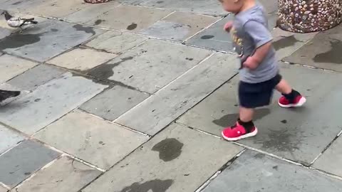 Baby doesn’t like pigeons