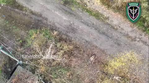 Russian and republican troops sweep Pavlovka. Images from a drone