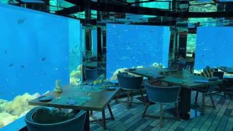 Underwater restaurant in the Maldives | Surreal fine dining experience