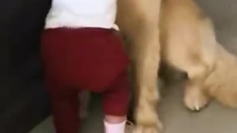 Toddler Gives Dog a Hug Before Going to School _ Shorts(360P