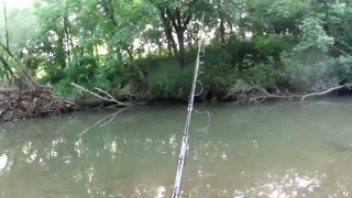 Fishing Fridays #3