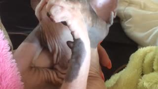 That's the Spot