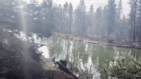 Unbelievably Still, Flowing River – Deschutes River Trail – Central Oregon