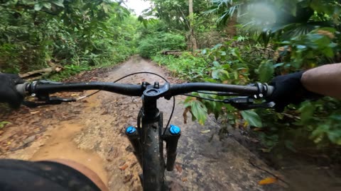 Descending Playa Tortuguilla, Colon, Panama